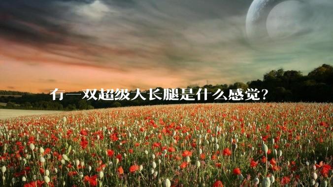 有一双超级大长腿是什么感觉？