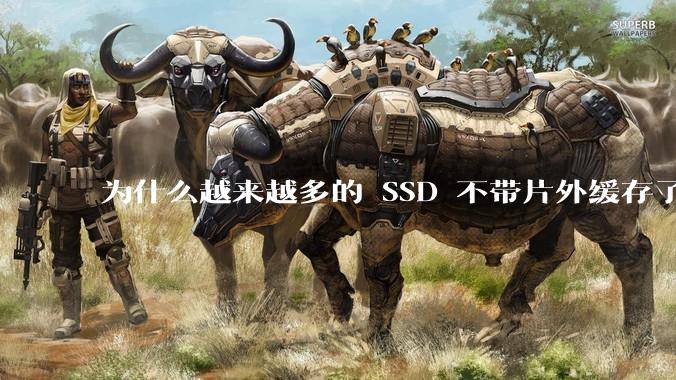 为什么越来越多的 SSD 不带片外缓存了？