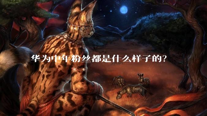 华为中年粉丝都是什么样子的？